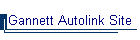 Gannett Autolink Site