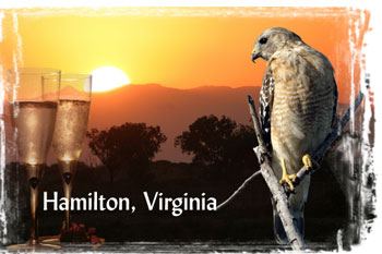 hamiltonva.com