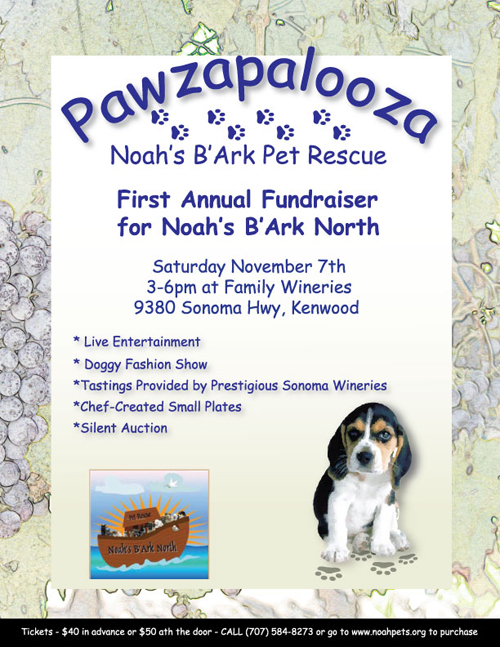 Noah's B'Ark Pet Rescue